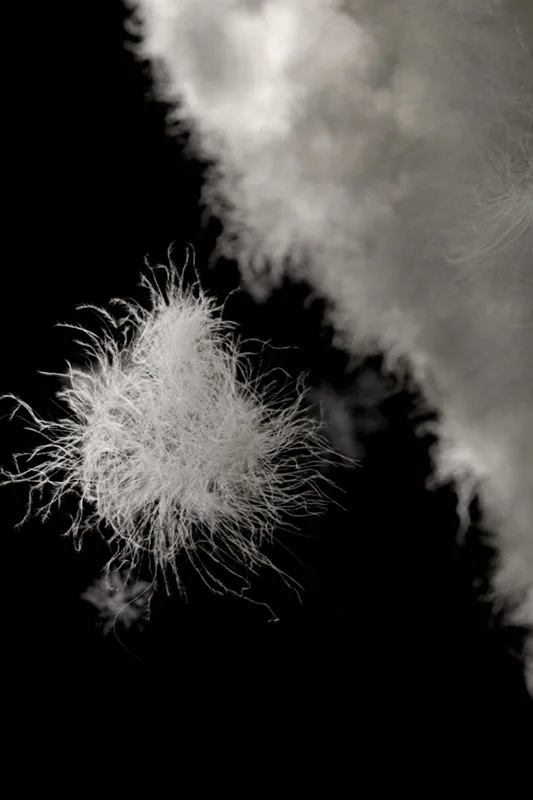 Puffer Ecosystem Invisible Down Vest